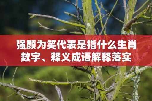 强颜为笑代表是指什么生肖数字、释义成语解释落实插图