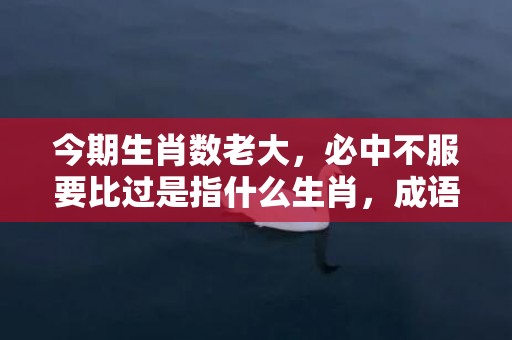 今期生肖数老大，必中不服要比过是指什么生肖，成语释义解释落实
