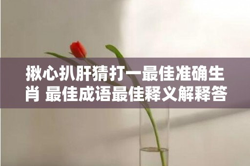 揪心扒肝猜打一最佳准确生肖 最佳成语最佳释义解释答
