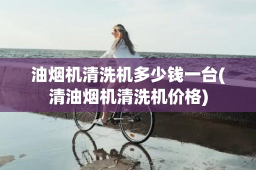 油烟机清洗机多少钱一台(清油烟机清洗机价格)