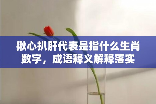 揪心扒肝代表是指什么生肖数字，成语释义解释落实