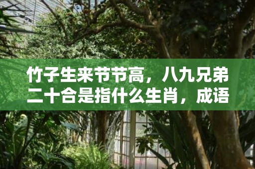 竹子生来节节高，八九兄弟二十合是指什么生肖，成语释义解释落实