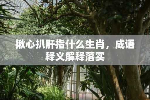 揪心扒肝指什么生肖，成语释义解释落实