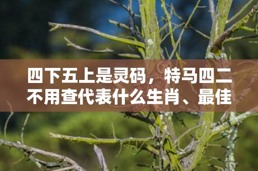 四下五上是灵码，特马四二不用查代表什么生肖、最佳释义解释答