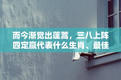 而今渐觉出蓬蒿，三八上阵四定赢代表什么生肖、最佳释义解释答