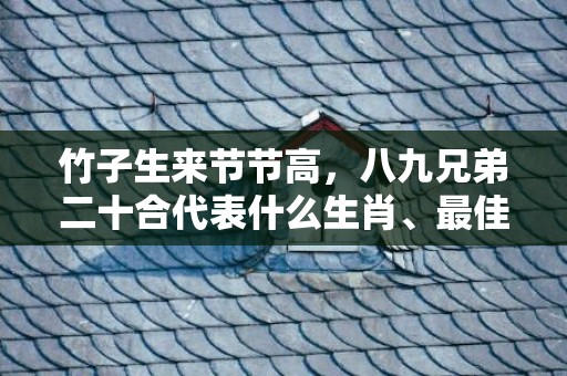 竹子生来节节高，八九兄弟二十合代表什么生肖、最佳释义解释答