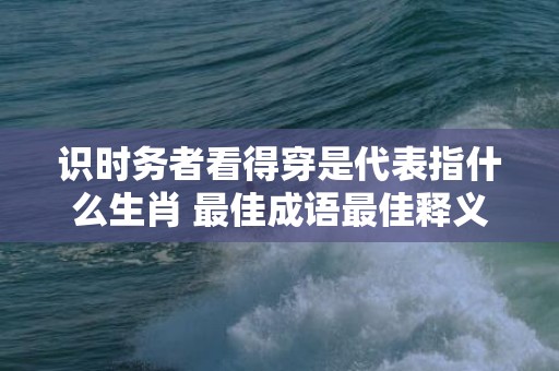 识时务者看得穿是代表指什么生肖 最佳成语最佳释义解释答