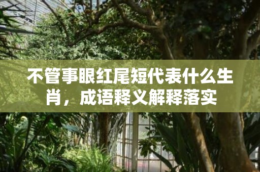 不管事眼红尾短代表什么生肖，成语释义解释落实