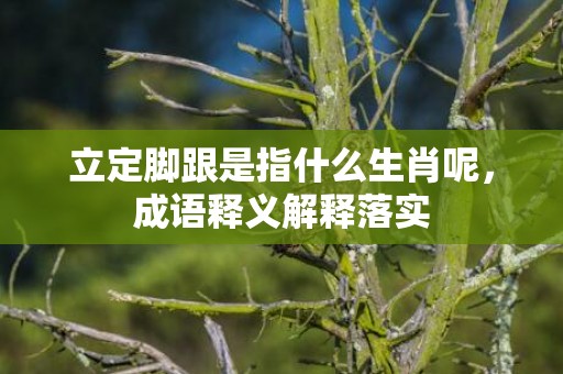 立定脚跟是指什么生肖呢，成语释义解释落实