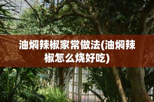 油焖辣椒家常做法(油焖辣椒怎么烧好吃)