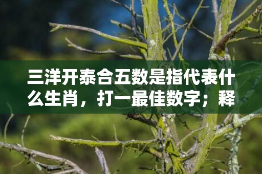 三洋开泰合五数是指代表什么生肖，打一最佳数字；释义成语解释落实