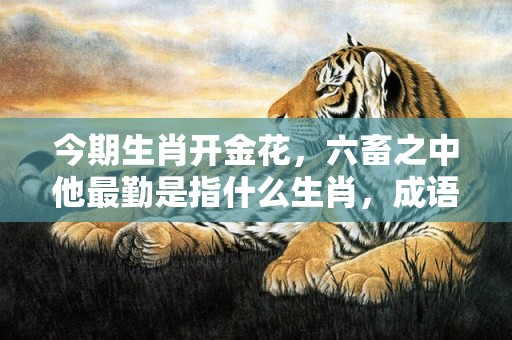 今期生肖开金花，六畜之中他最勤是指什么生肖，成语释义解释落实