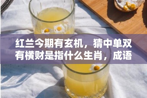 红兰今期有玄机，猜中单双有横财是指什么生肖，成语释义解释落实