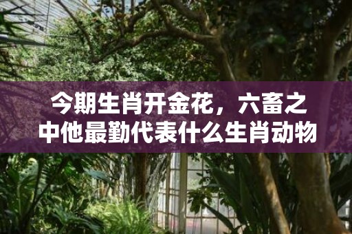 今期生肖开金花，六畜之中他最勤代表什么生肖动物，成语释义解释落实插图