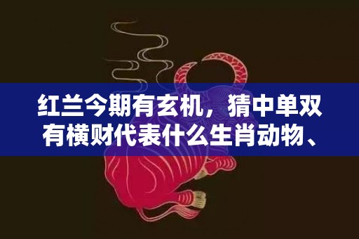 红兰今期有玄机，猜中单双有横财代表什么生肖动物、最佳释义解释答