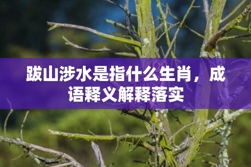 跋山涉水是指什么生肖，成语释义解释落实