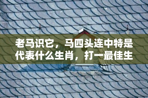 老马识它，马四头连中特是代表什么生肖，打一最佳生肖释义成语解释落实