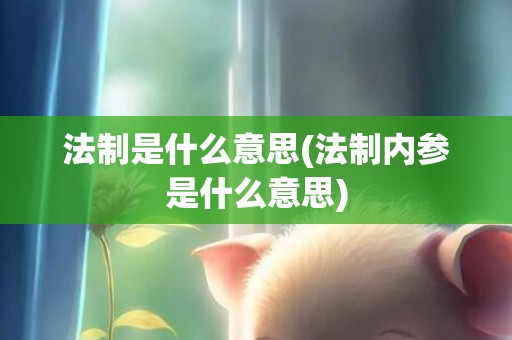 法制是什么意思(法制内参是什么意思)