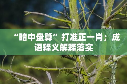 “暗中盘算”打准正一肖；成语释义解释落实