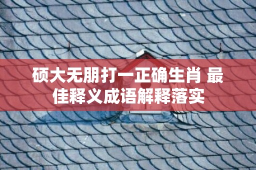 硕大无朋打一正确生肖 最佳释义成语解释落实