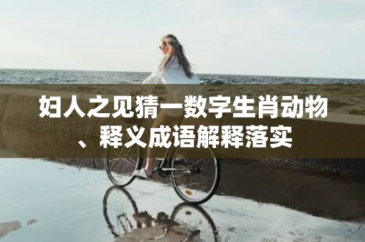 妇人之见猜一数字生肖动物、释义成语解释落实
