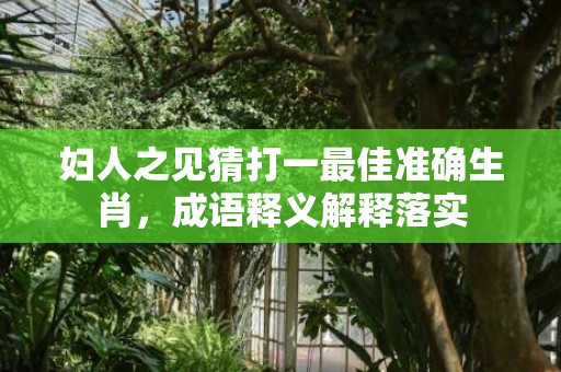 妇人之见猜打一最佳准确生肖，成语释义解释落实