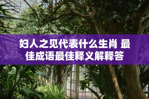 妇人之见代表什么生肖 最佳成语最佳释义解释答