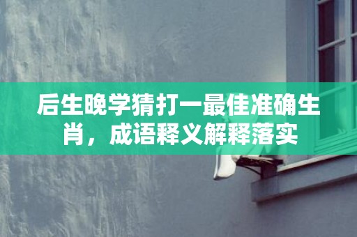 后生晚学猜打一最佳准确生肖，成语释义解释落实