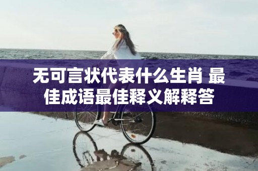 无可言状代表什么生肖 最佳成语最佳释义解释答