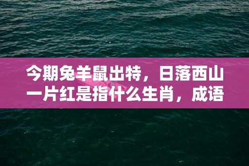 今期兔羊鼠出特，日落西山一片红是指什么生肖，成语释义落实解释