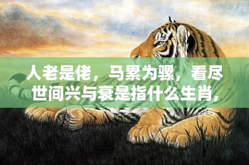 人老是佬，马累为骡，看尽世间兴与衰是指什么生肖,释义成语解释落实