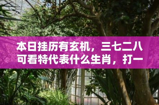 本日挂历有玄机，三七二八可看特代表什么生肖，打一最佳生肖数字，成语释义落实解释