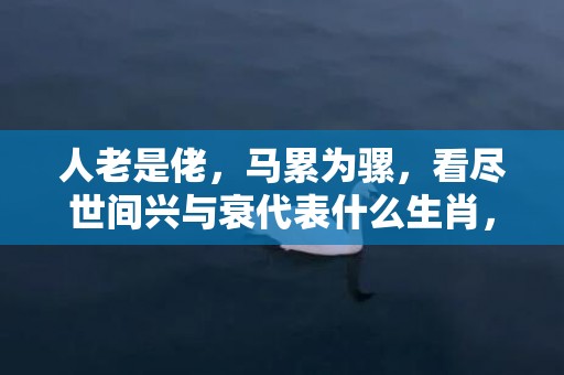 人老是佬，马累为骡，看尽世间兴与衰代表什么生肖，打一最佳生肖数字