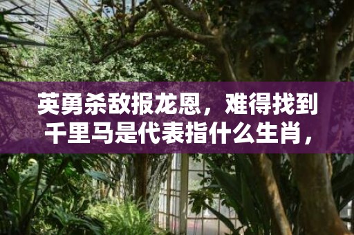 英勇杀敌报龙恩，难得找到千里马是代表指什么生肖，打一最佳生肖数字，成语释义落实解释