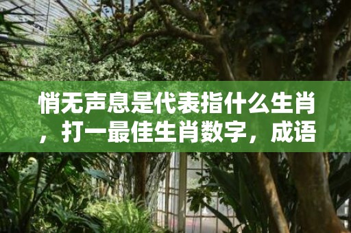 悄无声息是代表指什么生肖，打一最佳生肖数字，成语释义落实解释