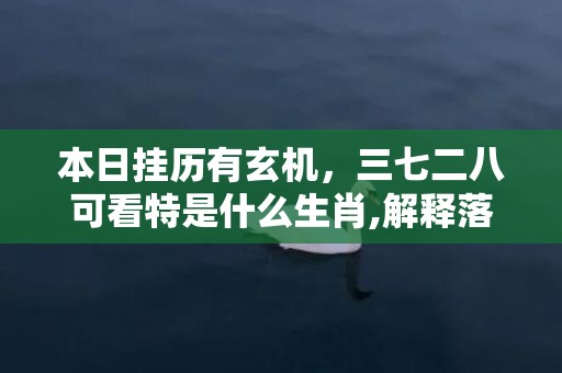 本日挂历有玄机，三七二八可看特是什么生肖,解释落实释义成语