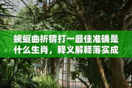 蜿蜒曲折猜打一最佳准确是什么生肖，释义解释落实成语