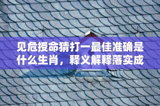见危授命猜打一最佳准确是什么生肖，释义解释落实成语