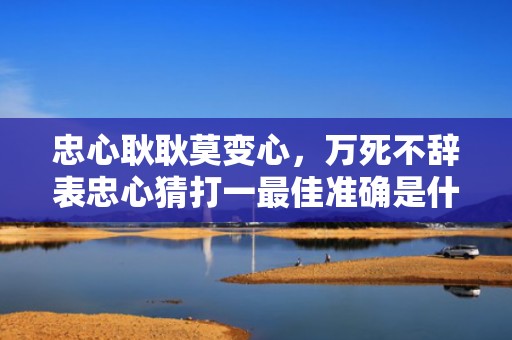 忠心耿耿莫变心，万死不辞表忠心猜打一最佳准确是什么生肖，成语解释落实释义