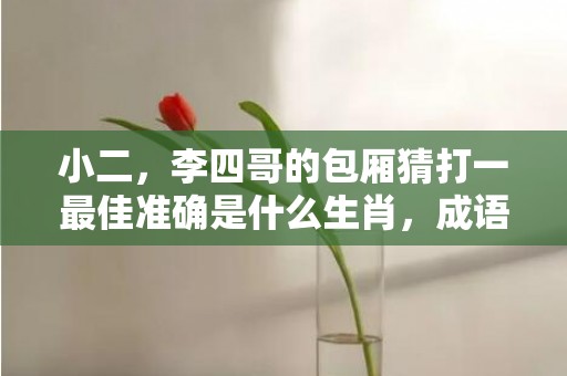 小二，李四哥的包厢猜打一最佳准确是什么生肖，成语解释落实释义
