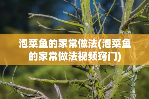 泡菜鱼的家常做法(泡菜鱼的家常做法视频窍门)