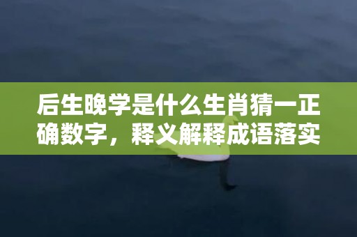 后生晚学是什么生肖猜一正确数字，释义解释成语落实