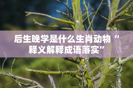 后生晚学是什么生肖动物“释义解释成语落实”
