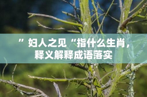 ”妇人之见“指什么生肖，释义解释成语落实