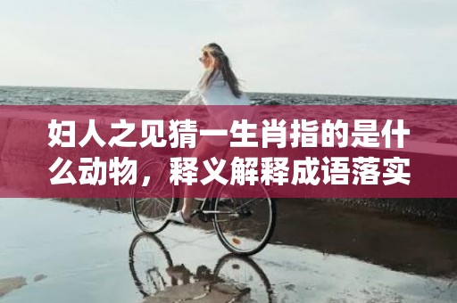 妇人之见猜一生肖指的是什么动物，释义解释成语落实