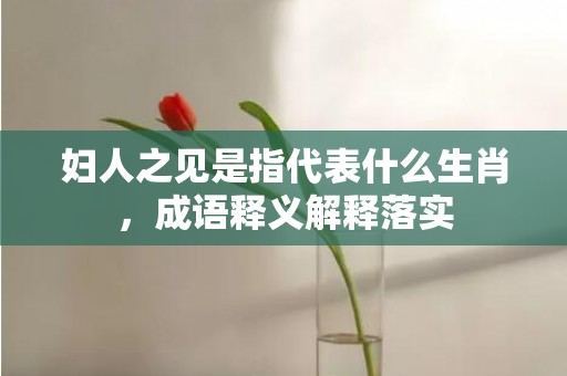 妇人之见是指代表什么生肖，成语释义解释落实
