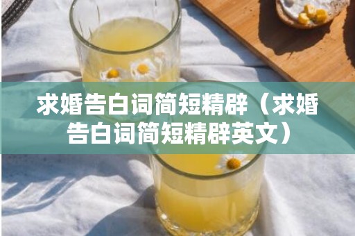 求婚告白词简短精辟（求婚告白词简短精辟英文）