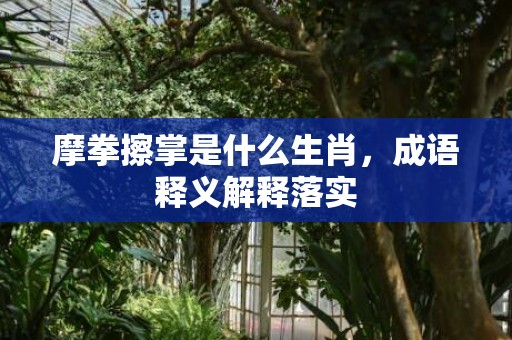 摩拳擦掌是什么生肖，成语释义解释落实