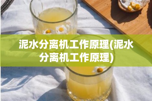 泥水分离机工作原理(泥水分离机工作原理)