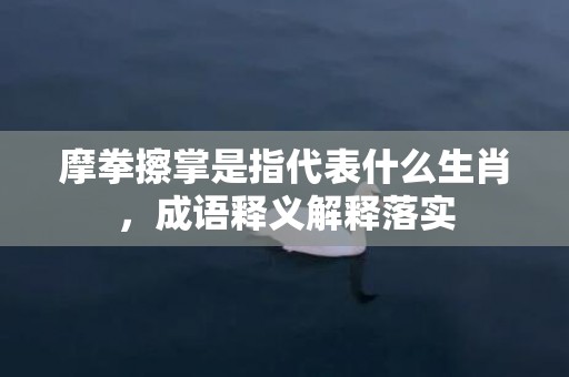 摩拳擦掌是指代表什么生肖，成语释义解释落实